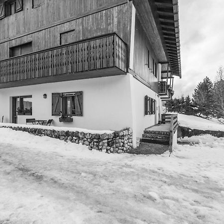 Ca' Dello Scoiattolo Apartment Cortina d'Ampezzo Bagian luar foto
