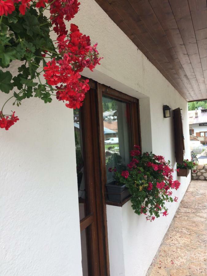 Ca' Dello Scoiattolo Apartment Cortina d'Ampezzo Bagian luar foto
